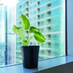 indoor air clean and safe