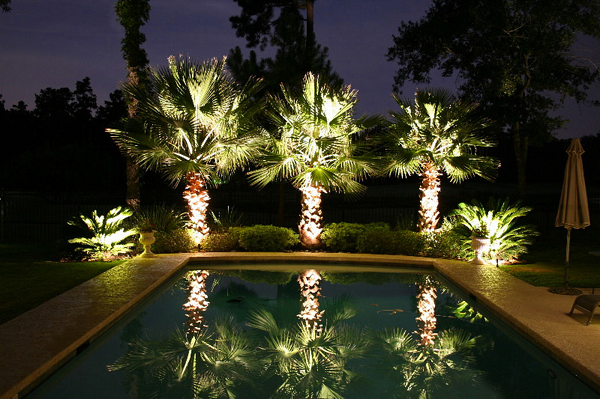 What Are The Best Colors For Landscape Lighting?