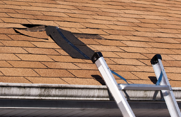 11 Worst Enemies of Your Roof: The Definitive List