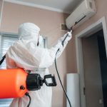 During Mold Remediation in a House