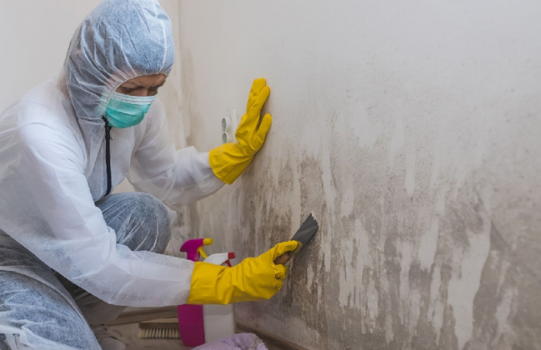 Commonly aske questions about Mold Remediation