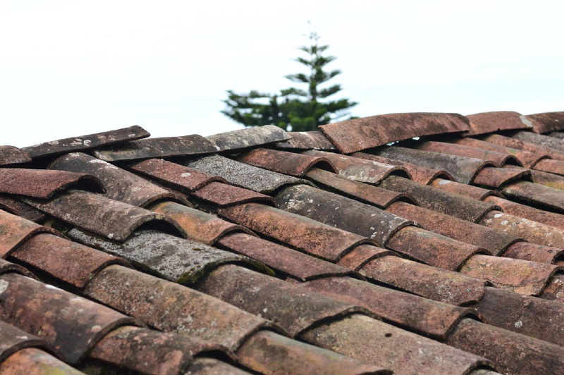 Roof Repair Checklist: How to Repair Your Roof