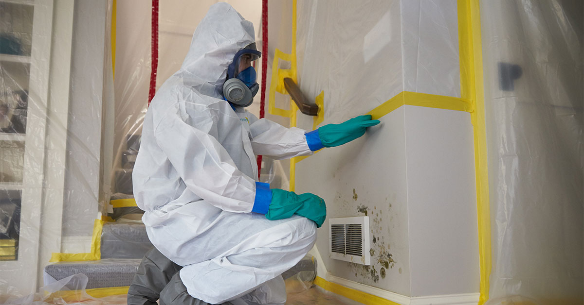 Mold Removal, Remediation and Inspection   