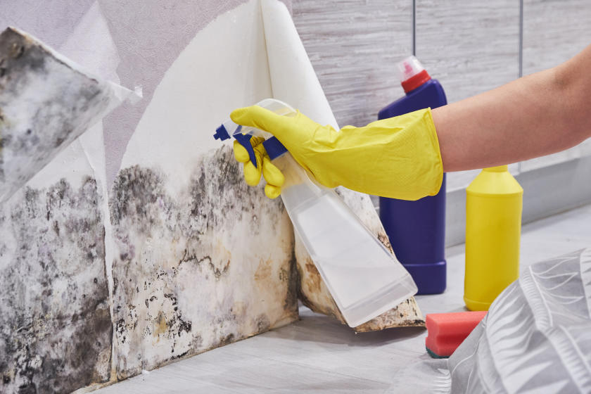 4 Reasons To Hire Professional Biohazard Clean-Up Services