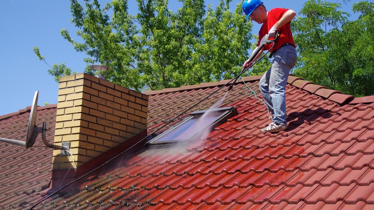3 Reasons Why You Need a Professional Roof Cleaning