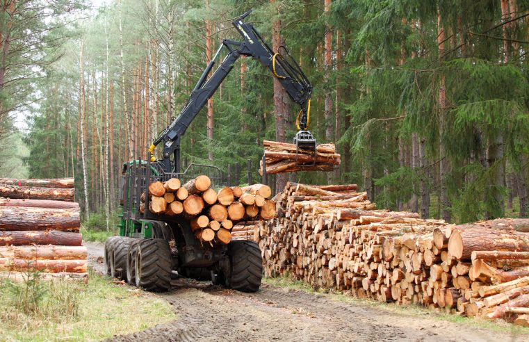 5 important benefits of timber harvesting 