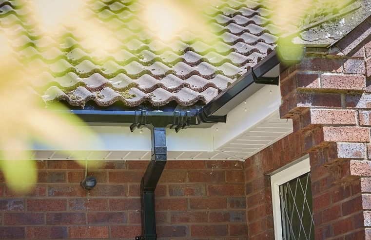 Why guttering and fascia replacement is essential for home maintenance?