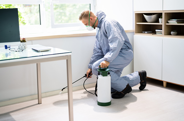 5 Reasons that make pest control the most demanded job